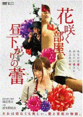 番外夜航频道封面